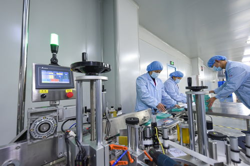 衡水新聞網 石家莊技術服務與技術開發新動向探析